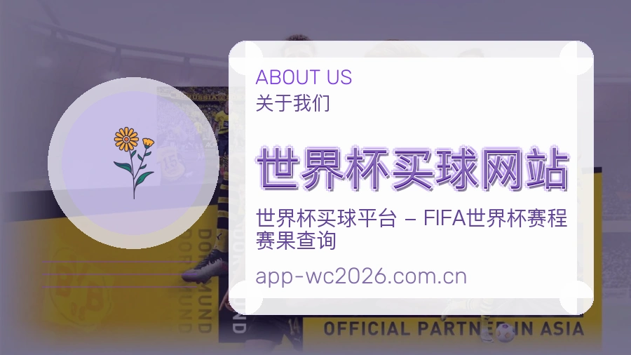  世界杯买球网站数据整理与人工审核流程